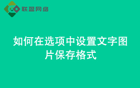Word如何在选项中设置文字图片保存格式