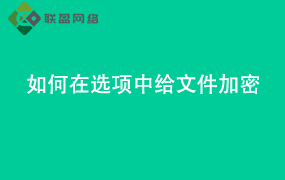 Word如何在选项中给文件加密