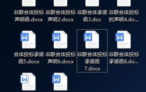非联合体投标承诺函/声明（10份）打包