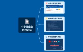 投标时不属于中小企业，却提供中小企业声明函怎么处理？