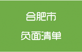 合肥市政府采购负面清单