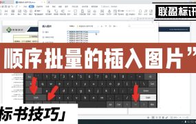 标书里如何顺序批量插入图片?Word批量顺序插入图片教学!