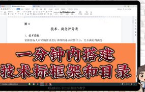 详解【一分钟做好技术标的框架和目录】视频讲解！