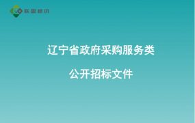 辽宁省政府采购服务类公开招标文件