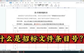 招标文件条目号是什么？投标文件条目号填写教程