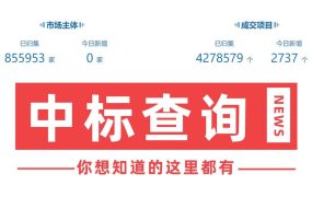 在哪可以查询到某家单位过往中标的项目？