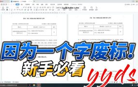 就因为一个字废标了！小白做标书这个小细节一定要注意~