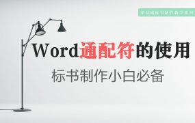 为标书制作小白录制简单的Word通配符使用技巧！零基础标书制作教学系列~