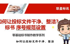 如何让投标文件干净、整洁？标书规范序号设置！