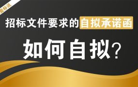 投标文件中的自拟承诺函都怎么写的？自拟承诺函编写教程！