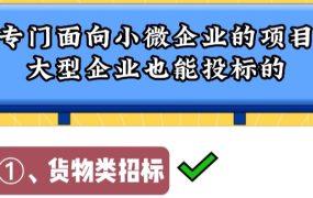 专门面对中小微企业的招标项目大企业可以投标吗？