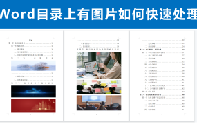 word目录里面有图片怎么办？Word目录上有图片的解决方案！