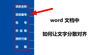 标书排版技巧之文字分散对齐！Word文档文字分散对齐