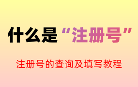 什么是注册号？注册号的查询及填写教程！