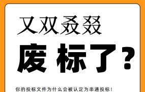 做标书，不注意这些点，不废你废谁！