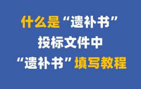 遗补书是什么意思？投标文件中遗补书填写教程！