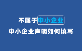 不属于中小企业，中小企业声明函应该如何填写？