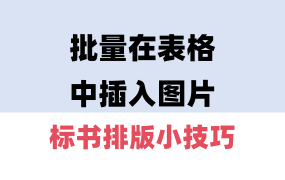 Word表格中批量插入图片，投标文件排版技巧