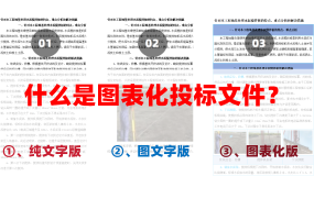 什么是图表化投标文件？图表格化投标文件评委会更喜欢吗？