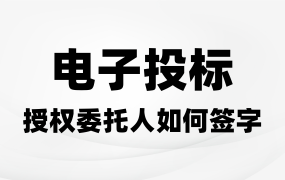 电子投标，授权委托人没有电子章怎么签字？