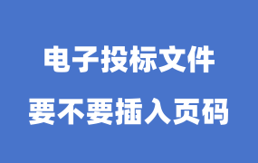 电子投标文件要不要插入页码？